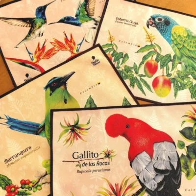 individuales ecológicos con ilustraciones hechas a mano